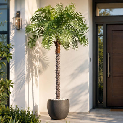 5ft Artificial Phoenix Palm Tree, Faux Coconut Silk Tropical Fake Palm Plant for Indoor Outdoor Home Office Patio Bathroom Pool Coastal Decor