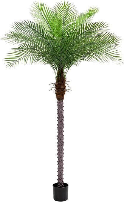 5ft Artificial Phoenix Palm Tree, Faux Coconut Silk Tropical Fake Palm Plant for Indoor Outdoor Home Office Patio Bathroom Pool Coastal Decor