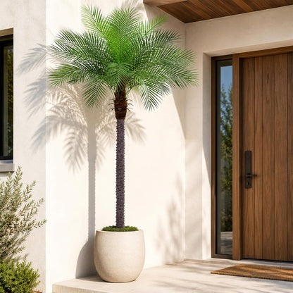 5ft Artificial Phoenix Palm Tree, Faux Coconut Silk Tropical Fake Palm Plant for Indoor Outdoor Home Office Patio Bathroom Pool Coastal Decor