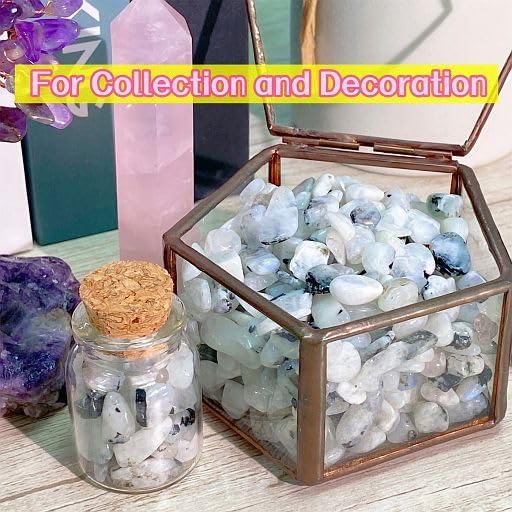 Fluorite Aquarium Gravel Rocks Natural Tumbled Healing Crystal Chips Bulk Gemstones Tumbled Crushed Stones for Fountain Vase Filler Planters Decorative Fish Tank Potted Reiki Energy Balancing 0.44lb