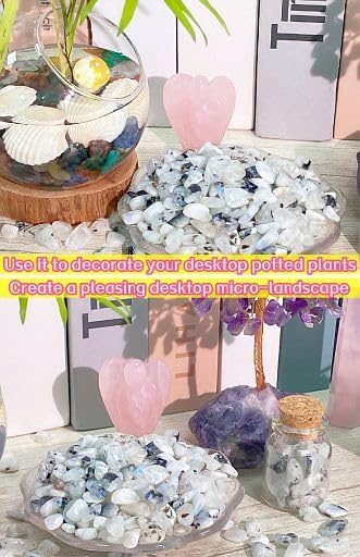 Fluorite Aquarium Gravel Rocks Natural Tumbled Healing Crystal Chips Bulk Gemstones Tumbled Crushed Stones for Fountain Vase Filler Planters Decorative Fish Tank Potted Reiki Energy Balancing 0.44lb