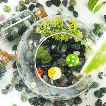 Fluorite Aquarium Gravel Rocks Natural Tumbled Healing Crystal Chips Bulk Gemstones Tumbled Crushed Stones for Fountain Vase Filler Planters Decorative Fish Tank Potted Reiki Energy Balancing 0.44lb