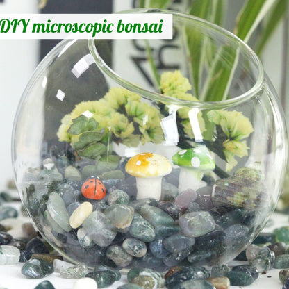 Fluorite Aquarium Gravel Rocks Natural Tumbled Healing Crystal Chips Bulk Gemstones Tumbled Crushed Stones for Fountain Vase Filler Planters Decorative Fish Tank Potted Reiki Energy Balancing 0.44lb