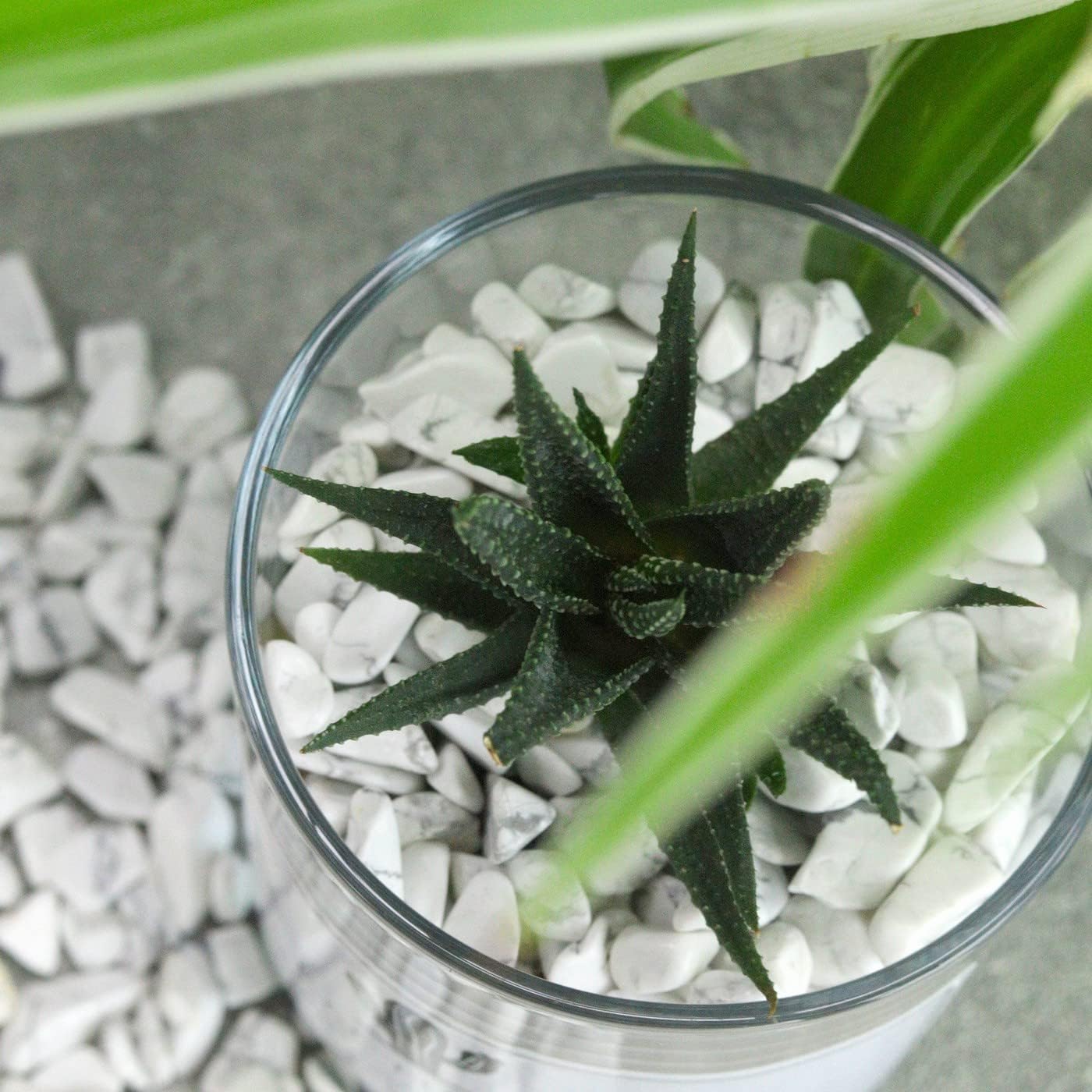 Fluorite Aquarium Gravel Rocks Natural Tumbled Healing Crystal Chips Bulk Gemstones Tumbled Crushed Stones for Fountain Vase Filler Planters Decorative Fish Tank Potted Reiki Energy Balancing 0.44lb