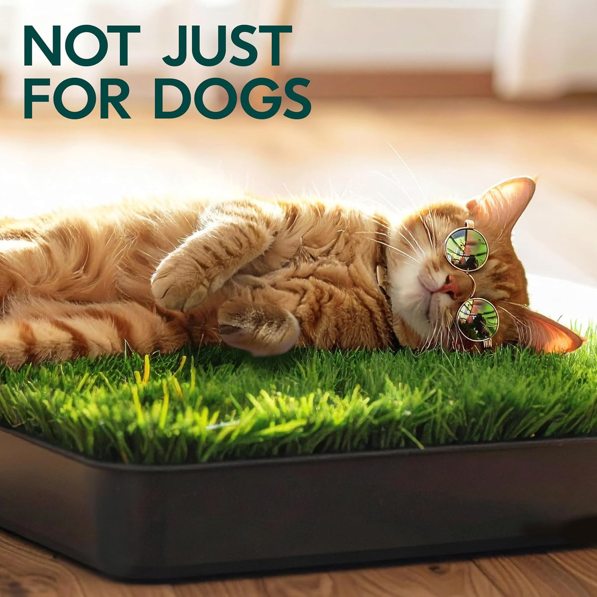 Dog Grass Pad with Tray 23”x35” – Soft-Touch Artificial Grass Pad for Dogs Potty with Pee Pads Washable & Puppy Porch Potty Tray – Dog Litter Box Indoor & Outdoor, Pet Turf for Puppy Toilet Training