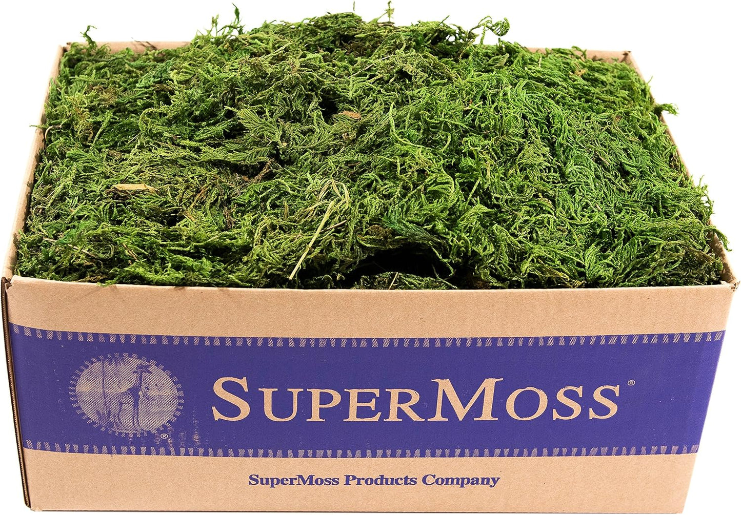 (25320) Forest Moss Preserved, Fresh Green, 2oz