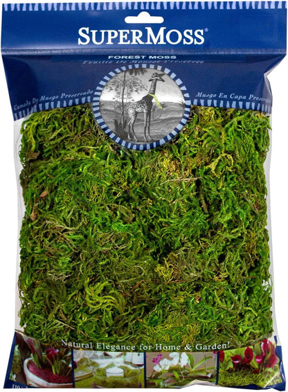 (25320) Forest Moss Preserved, Fresh Green, 2oz