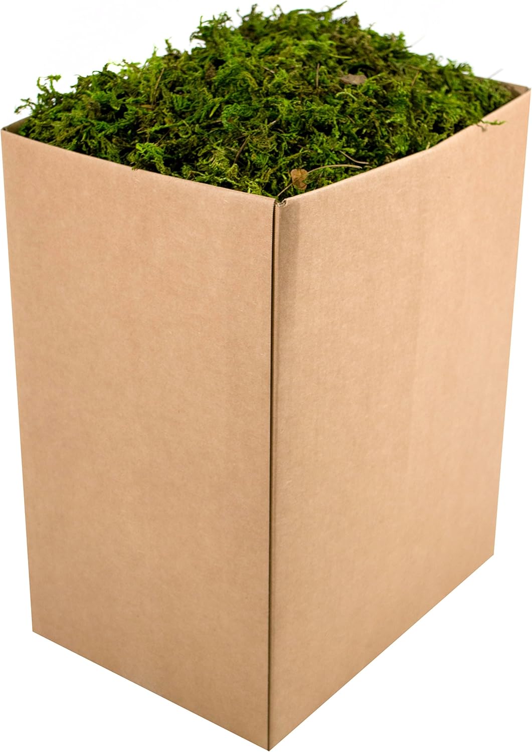 (25320) Forest Moss Preserved, Fresh Green, 2oz