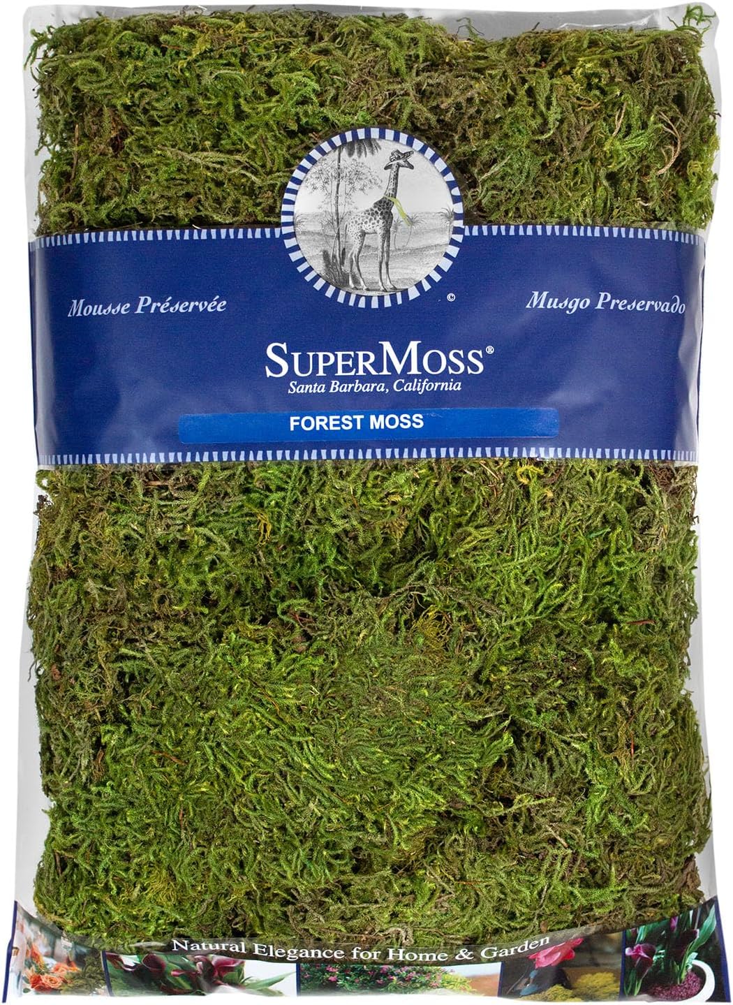 (25320) Forest Moss Preserved, Fresh Green, 2oz