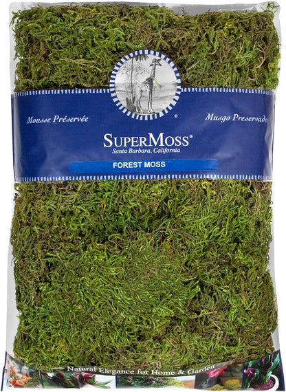 (25320) Forest Moss Preserved, Fresh Green, 2oz