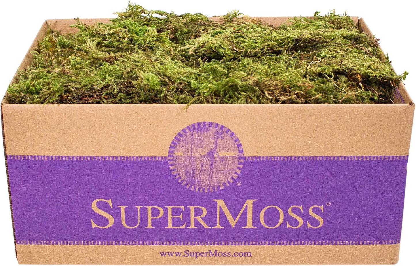 (25320) Forest Moss Preserved, Fresh Green, 2oz