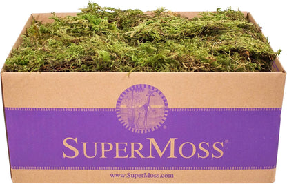 (25320) Forest Moss Preserved, Fresh Green, 2oz