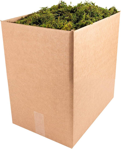 (25320) Forest Moss Preserved, Fresh Green, 2oz