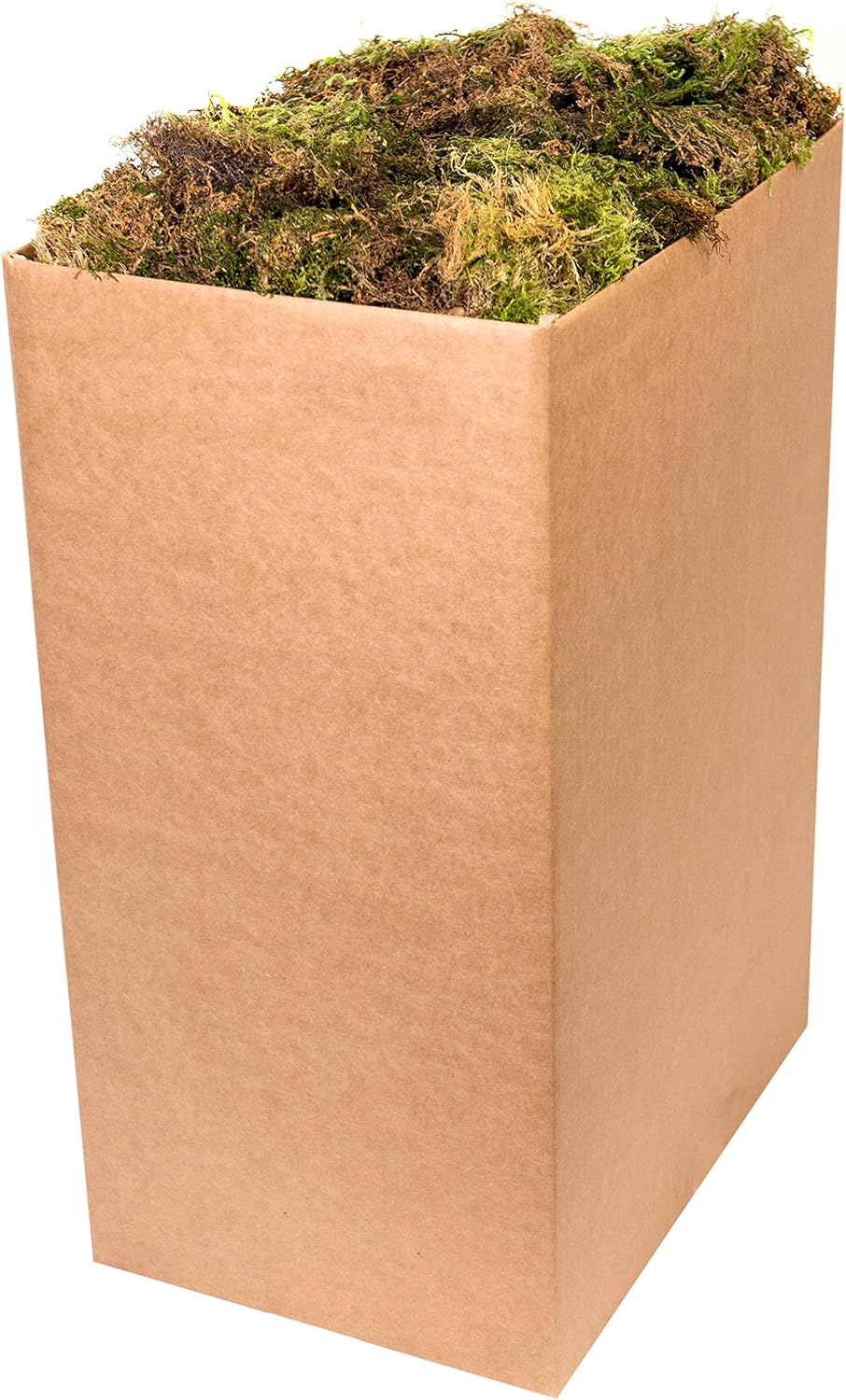(25320) Forest Moss Preserved, Fresh Green, 2oz