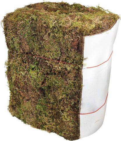 (25320) Forest Moss Preserved, Fresh Green, 2oz