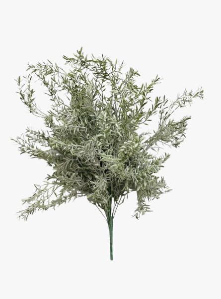 Rosemary Stem