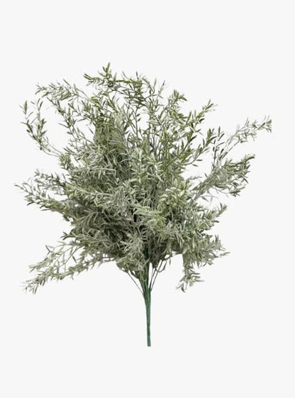 Rosemary Stem