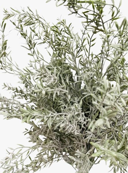 Rosemary Stem