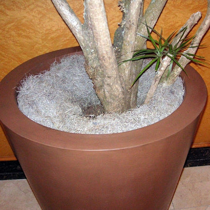 ML0560 Spanish Moss, 250 Cubic Inches