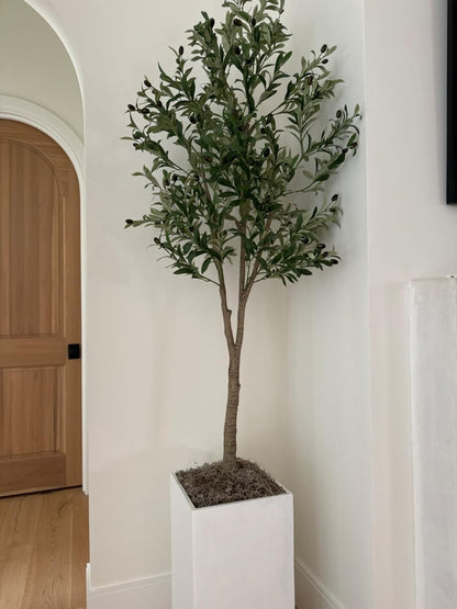 ML0560 Spanish Moss, 250 Cubic Inches
