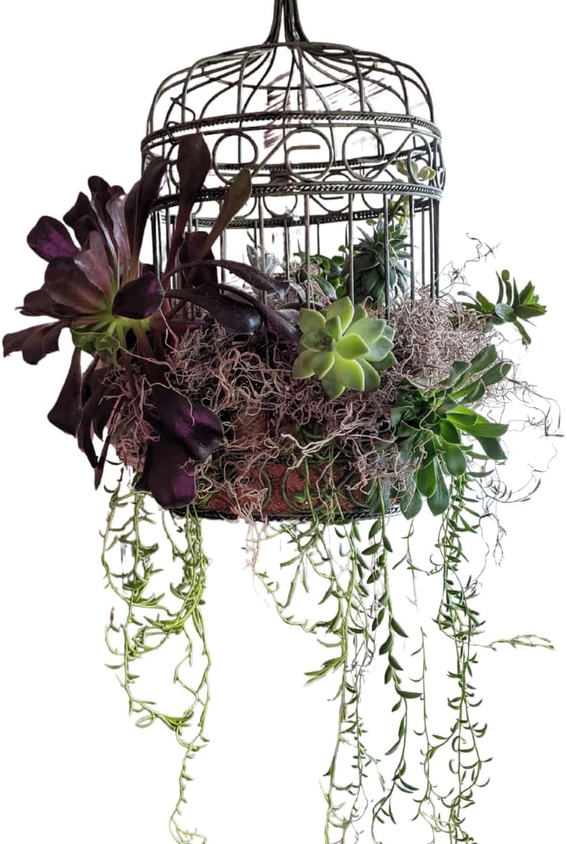 ML0560 Spanish Moss, 250 Cubic Inches