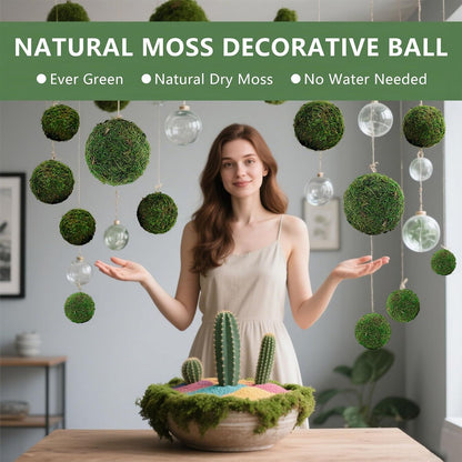 Moss Balls Decorative Faux Green Dried Artificial Moss Balls for Centerpiece Bowls for Home Garden Wedding Party Decor (2"-Set of 12)