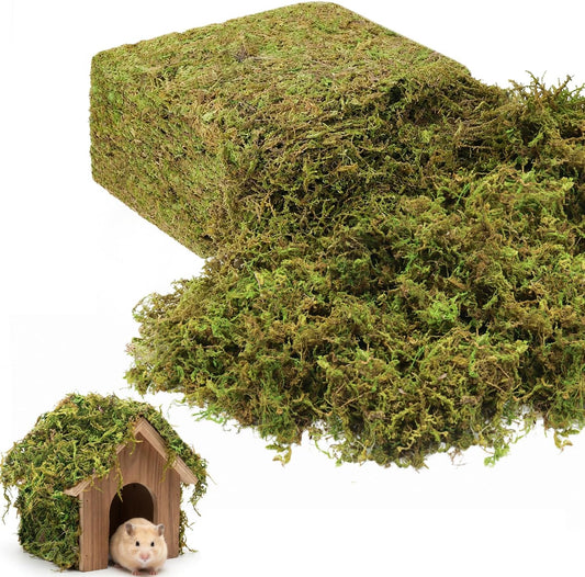 2.6 LBS Green Moss for Plants Indoor, Crafts Moss for Artificial Plants, Decorative Dried Moss Forest Moss for Fake Potted Plants, Fairy Garden, Table Centerpieces and Terrarium Decor
