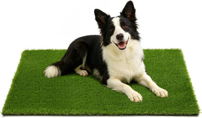 Artificial Grass for Dogs Potty, Dog Grass Pad Fake Grass Outdoor