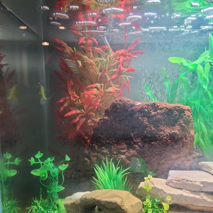 Large Aquarium Plants Artificial Water Seaweed 2 Pcs About 13 Inch for Fish Tank Decor Plastic Plant for Betta Shrimp Red Gladiolus