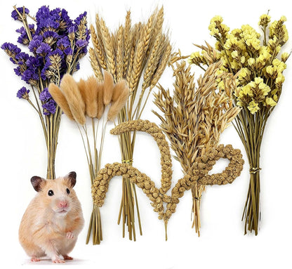 Natural Hamster Flower & Herb Habitat Deocr, Hamster Sprays Herbs Bedding Mate, Hamsters Cage Enrichment Decoration Accessories for Gerbil Dwarf Syrian Hamsters Mouse Guinea Pig Mice or Small Animals