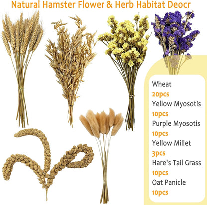 Natural Hamster Flower & Herb Habitat Deocr, Hamster Sprays Herbs Bedding Mate, Hamsters Cage Enrichment Decoration Accessories for Gerbil Dwarf Syrian Hamsters Mouse Guinea Pig Mice or Small Animals