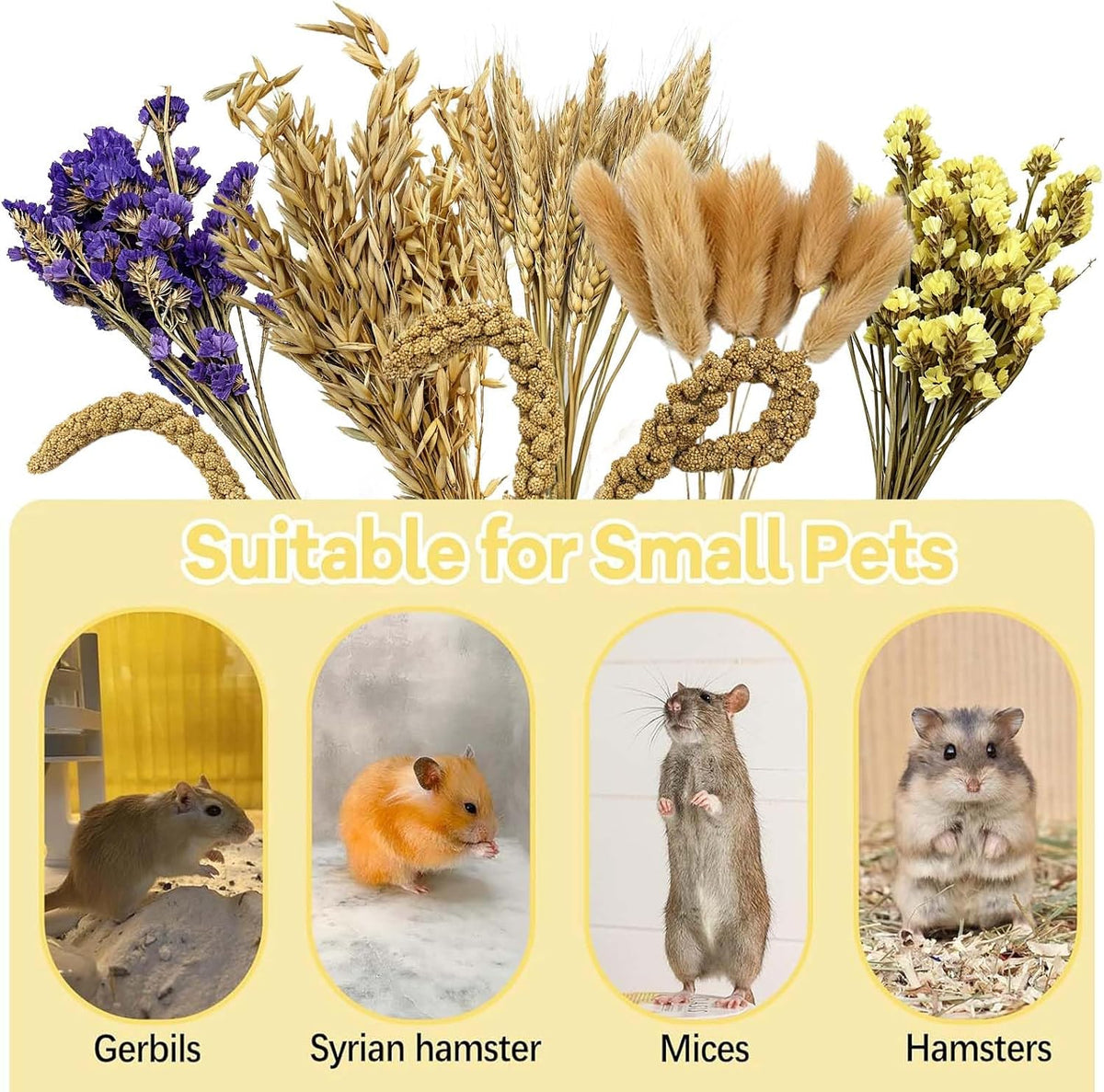 Natural Hamster Flower & Herb Habitat Deocr, Hamster Sprays Herbs Bedding Mate, Hamsters Cage Enrichment Decoration Accessories for Gerbil Dwarf Syrian Hamsters Mouse Guinea Pig Mice or Small Animals