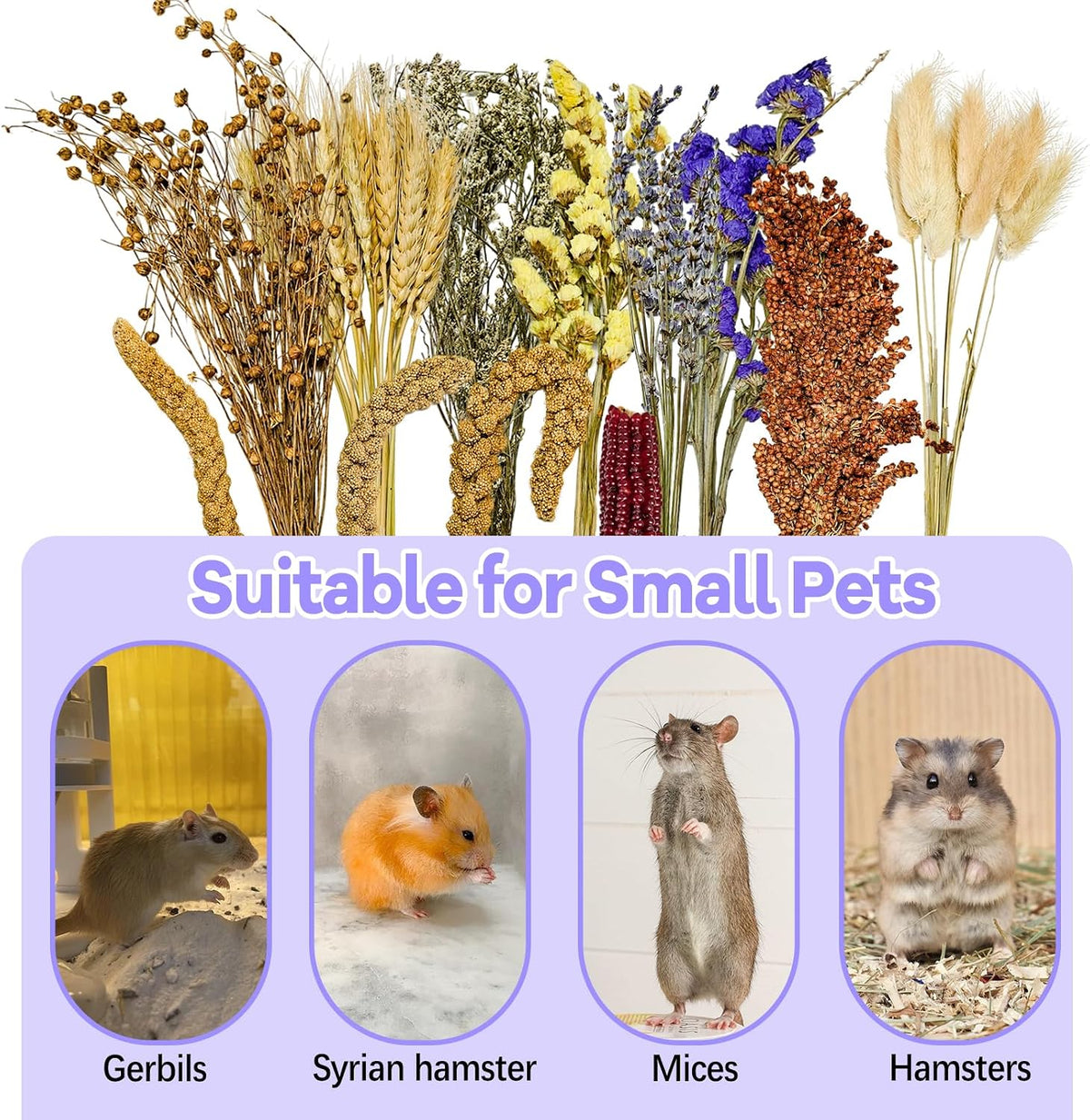 Natural Hamster Flower & Herb Habitat Deocr, Hamster Sprays Herbs Bedding Mate, Hamsters Cage Enrichment Decoration Accessories for Gerbil Dwarf Syrian Hamsters Mouse Guinea Pig Mice or Small Animals