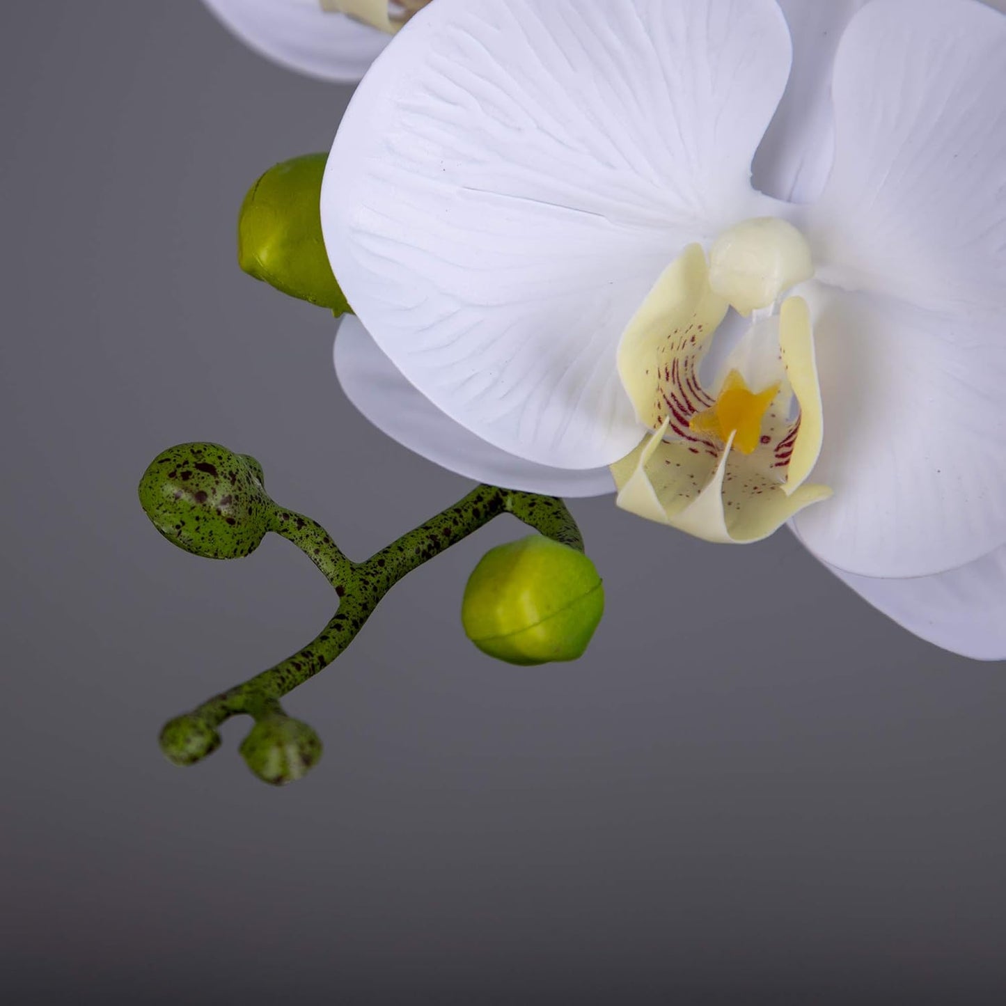 Faux Orchid Stems Artificial Flowers Phalaenopsis 38 Inch 2pcs Real Touch Latex 9 Large Petals Purple Pattern