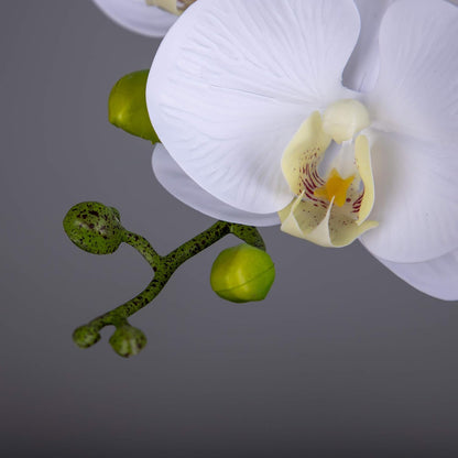 Faux Orchid Stems Artificial Flowers Phalaenopsis 38 Inch 2pcs Real Touch Latex 9 Large Petals Purple Pattern