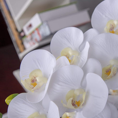 Faux Orchid Stems Artificial Flowers Phalaenopsis 38 Inch 2pcs Real Touch Latex 9 Large Petals Purple Pattern