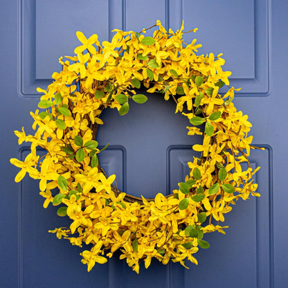 22 Inches Spring Wreath Artificial Spring Wreaths for Front Door Yellow Forsythia Wreath with Eucalyptus Leaves for Springtime Holidays Wall Porch Farmhouse