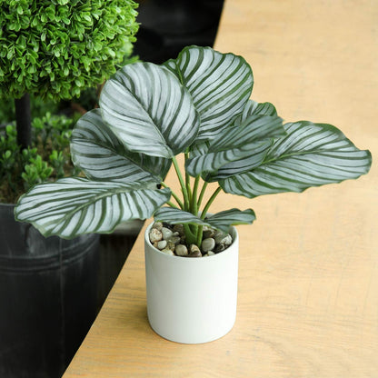 Fake Plants 11.8'' Realistic Monstera Plant Artificial Potted Indoor Plant Houseplant in Black Pot for Home Decor Wedding Centerpiece Dining Table Farmhouse, Green Leaves