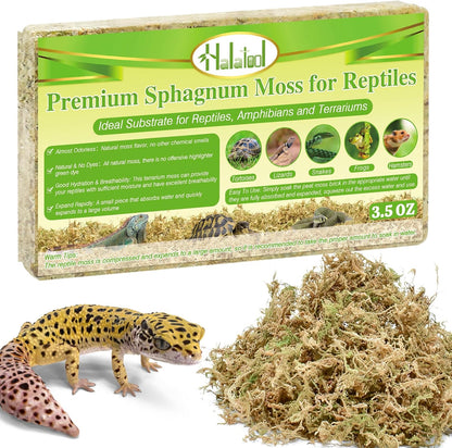 Sphagnum Moss for Reptiles, 3.5 oz Natural Terrarium Bedding Substrate