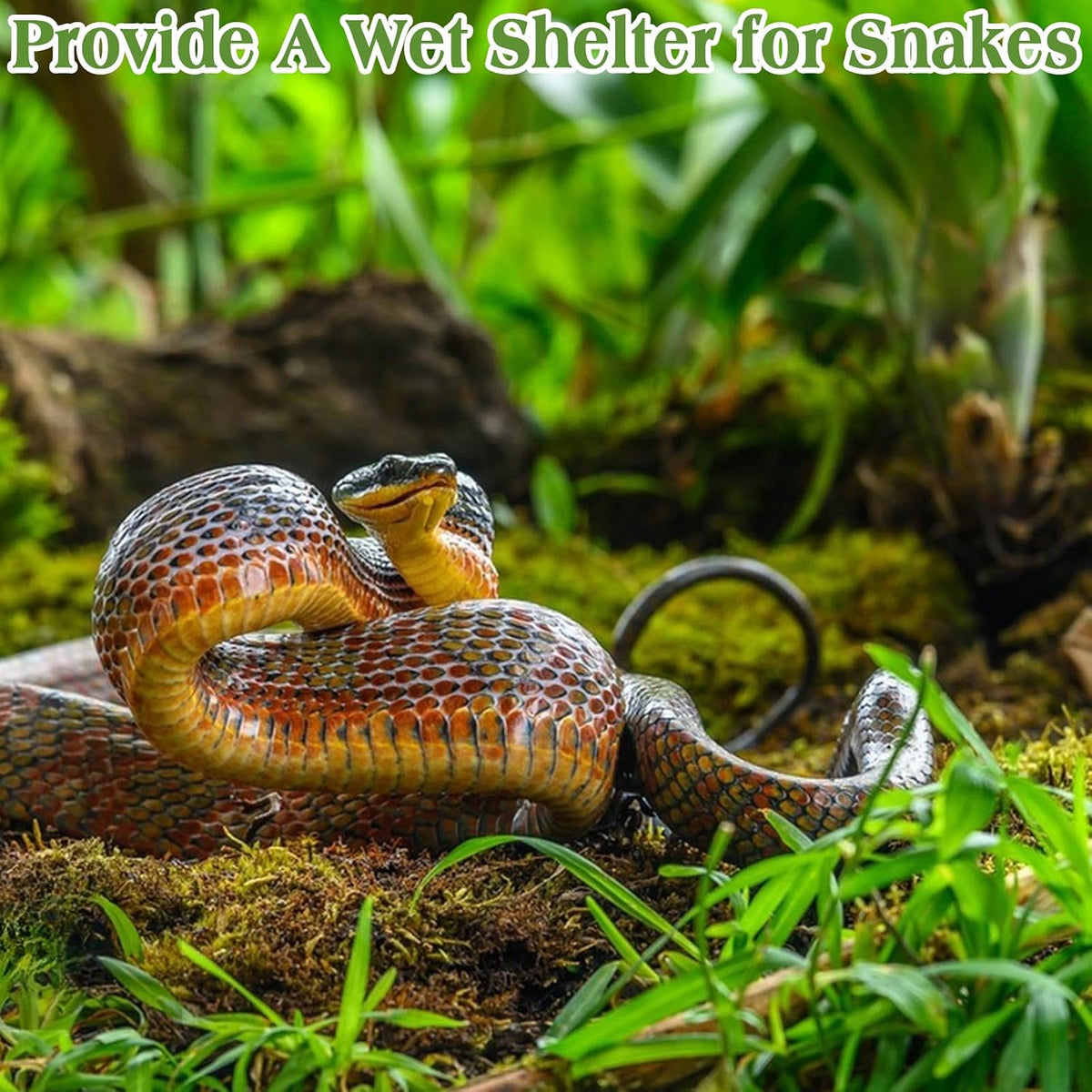 Sphagnum Moss for Reptiles, 3.5 oz Natural Terrarium Bedding Substrate