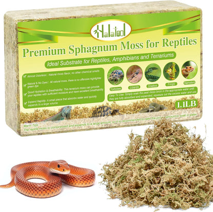 Sphagnum Moss for Reptiles, 3.5 oz Natural Terrarium Bedding Substrate