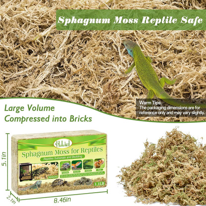 Sphagnum Moss for Reptiles, 3.5 oz Natural Terrarium Bedding Substrate