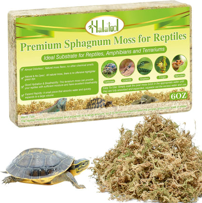 Sphagnum Moss for Reptiles, 3.5 oz Natural Terrarium Bedding Substrate