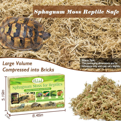 Sphagnum Moss for Reptiles, 3.5 oz Natural Terrarium Bedding Substrate