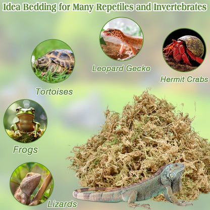 Sphagnum Moss for Reptiles, 3.5 oz Natural Terrarium Bedding Substrate