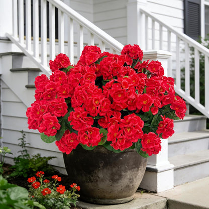 Artificial Flowers for Outdoors, 6 Pcs Red Fake Geraniums