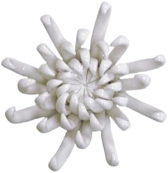 Protea, 2.76" Ceramic Flower Wall Art Décor, Artificial Flower Wall Sculpture，Handcrafted 3D Hanging Porcelain Flowers for Home，Hallway，Living Room (White) - Colors A