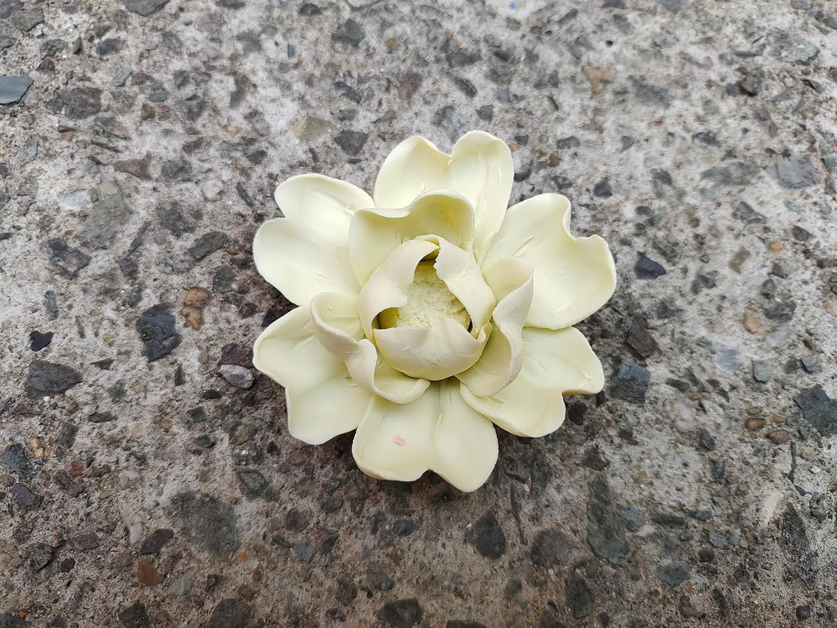 Protea, 2.76" Ceramic Flower Wall Art Décor, Artificial Flower Wall Sculpture，Handcrafted 3D Hanging Porcelain Flowers for Home，Hallway，Living Room (White) - Colors A