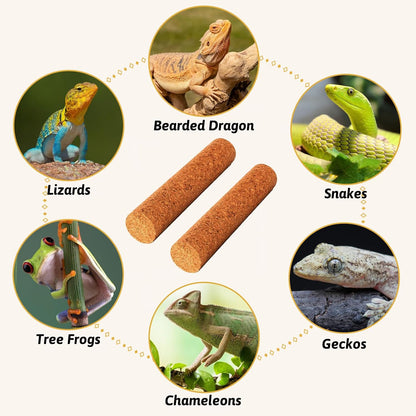Cork Branch for Reptiles Climbing Branches 2 Pack Natural Tree Frog Cork Wood Stick Crested Geckos Habitat Decor for Snake Lizard Bearded Dragon Chameleon Terrarium 12 Inches
