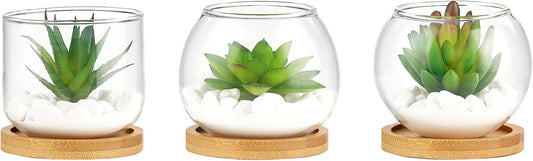 Artificial Succulent in Clear Glass Pot, 3 Mini Potted Fake Plants for Women Office Decor Small Faux Green Plant with BambooTray for Bookshelf Bathroom Kitchen Tabletop Centerpiece